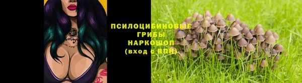 трава Наволоки