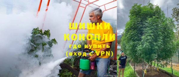прущие крисы Надым