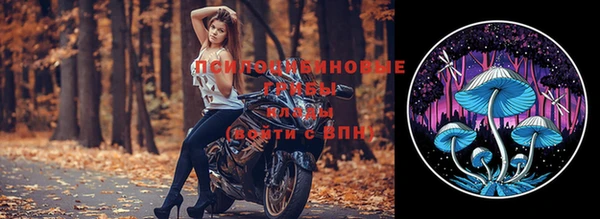 прущие крисы Надым