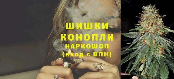 трава Наволоки