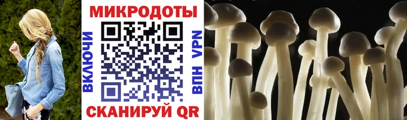 Галлюциногенные грибы Magic Shrooms  купить наркотик  Юрьев-Польский 
