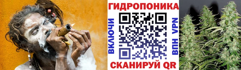 hydra сайт  Юрьев-Польский  Марихуана сатива 
